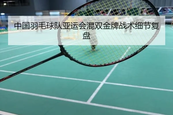 中国羽毛球队亚运会混双金牌战术细节复盘